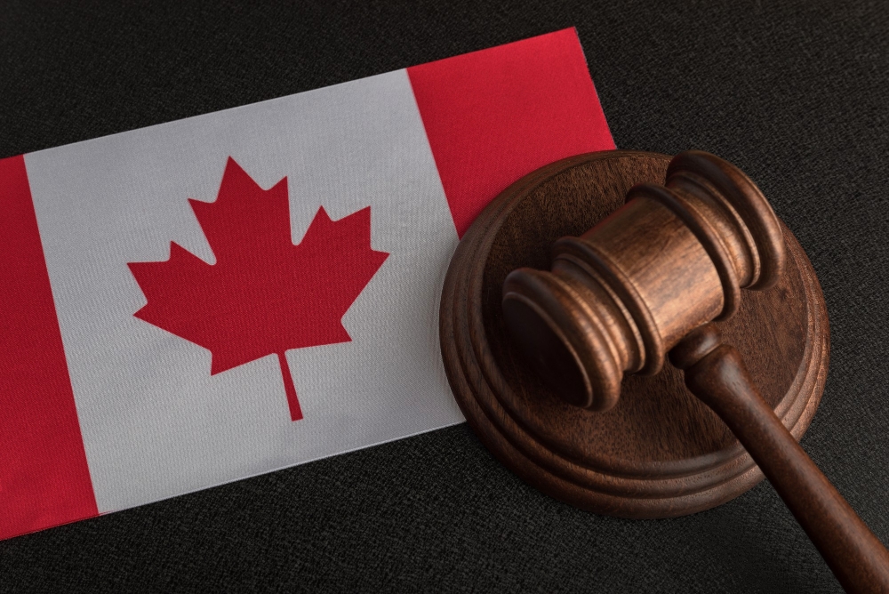 citizenship lawyer in Calgary — hero photo