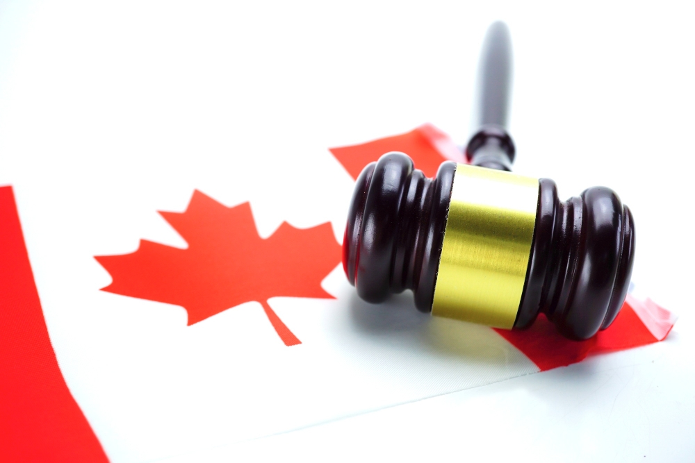 criminal record and PNP application — photo