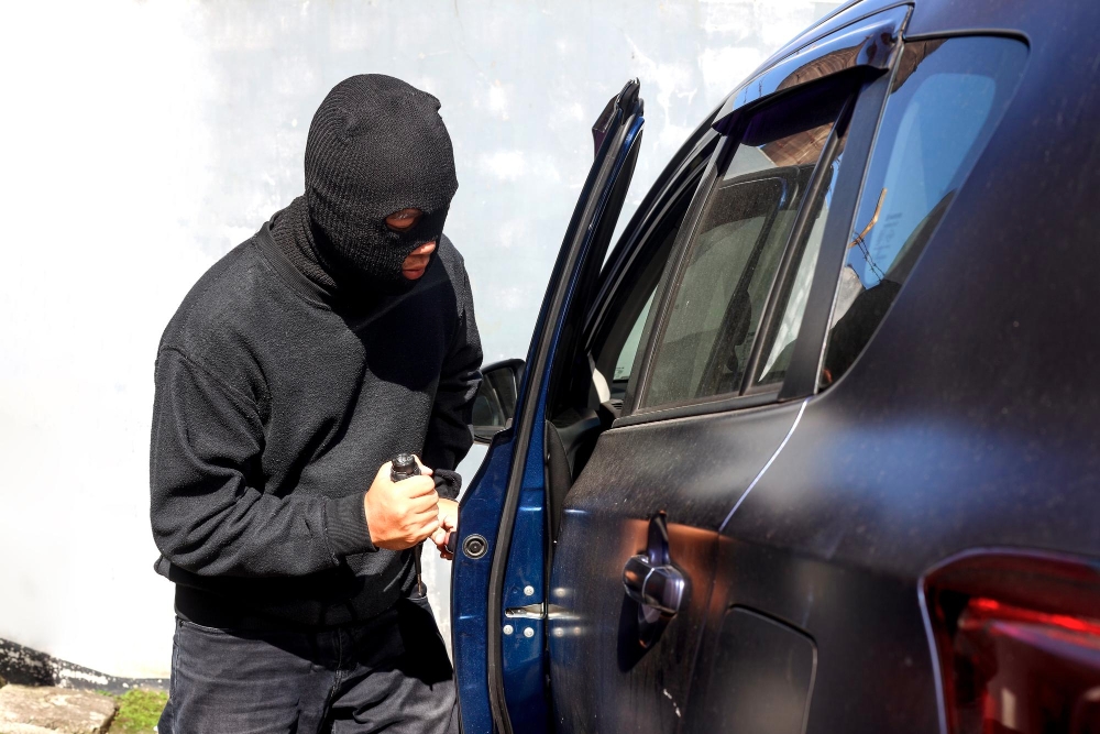 Penalties for Theft Convictions in Calgary — photo